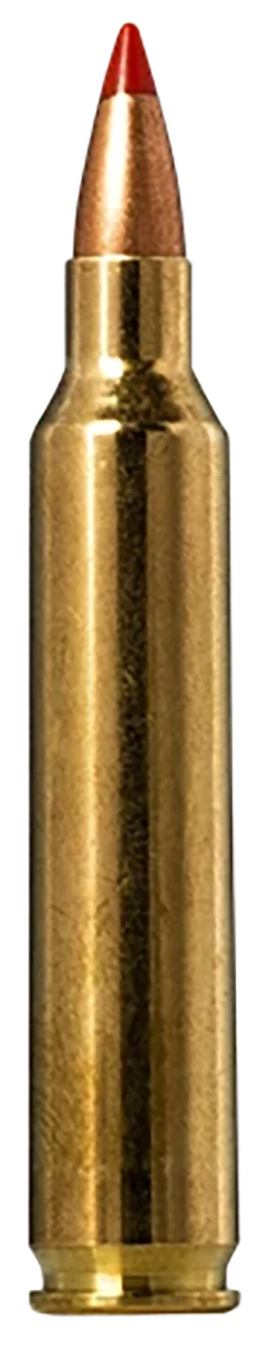 norma ammunition .204 Ruger 40gr V-MAX Brass – 20rd