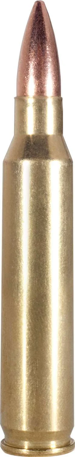 ARMSCOR Ammo 223rem 55gr Psp 20/50