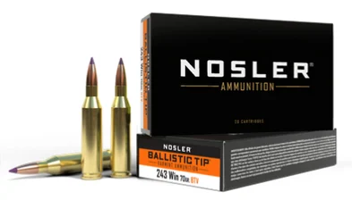 Nosler .243 Winchester 70gr Brass – 20rd