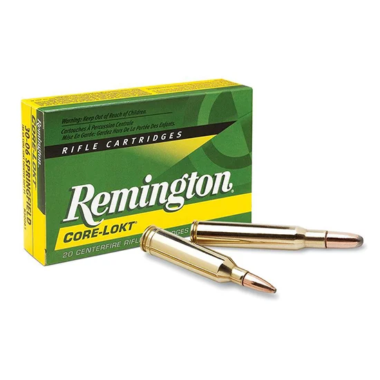 Remington .45-70 Government 405gr CORE-LOKT Brass – 20rd